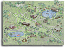 Camp Illahee map