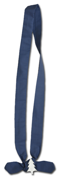 Camp Illahee tie with pinetree pin