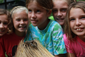 nature summer jobs at camp illahee for girls