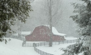 A beautiful snow falls at Camp Illahee around the barn on Christmas morn.