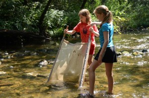 Two camp girls hold net in the river to catch insects.