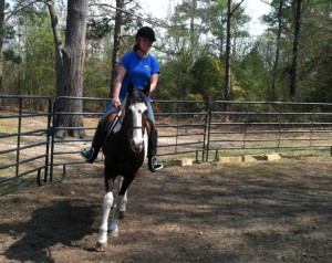 Camp Illahee selects the best horses for the riding program