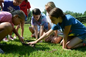 Illahee campers watch snake during nature class