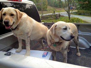 Liza and Newton in the back of a truck.