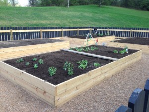 The new raised beds at Hannah Ford Farm are ready for planting.