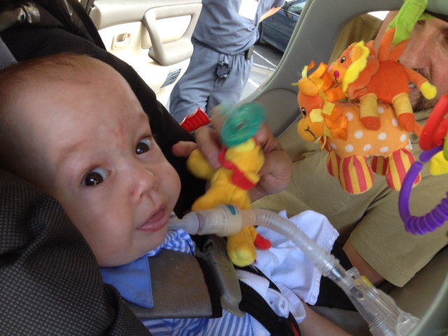 Mac getting his first ride in the car. Time to go home!