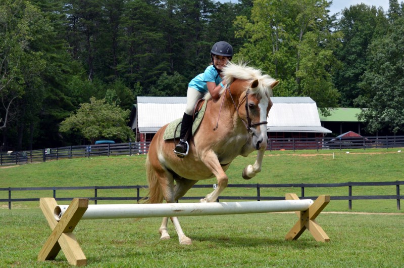 jumping Camp Illahee Girls Summer Camp