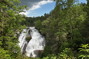 Dupont State Forest