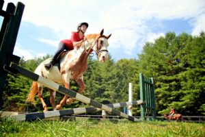 Camper jumps a horse over rail.