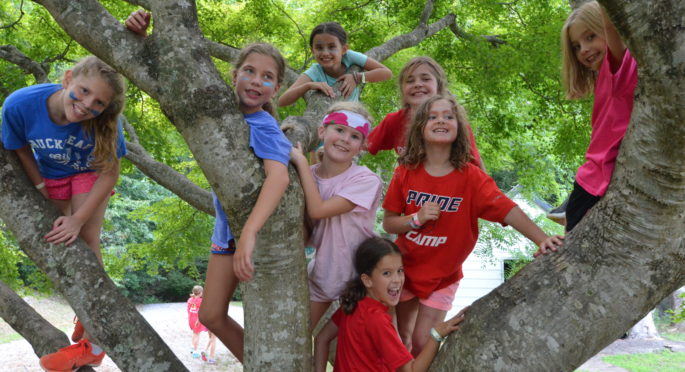 Campers in tree at Hannah Ford Farm
