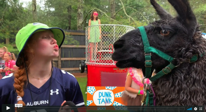 Minnie Kisses a Llama at County Fair!