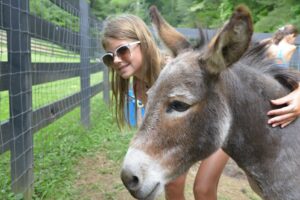 A girl with sunglasses hugs a donkey's neck.